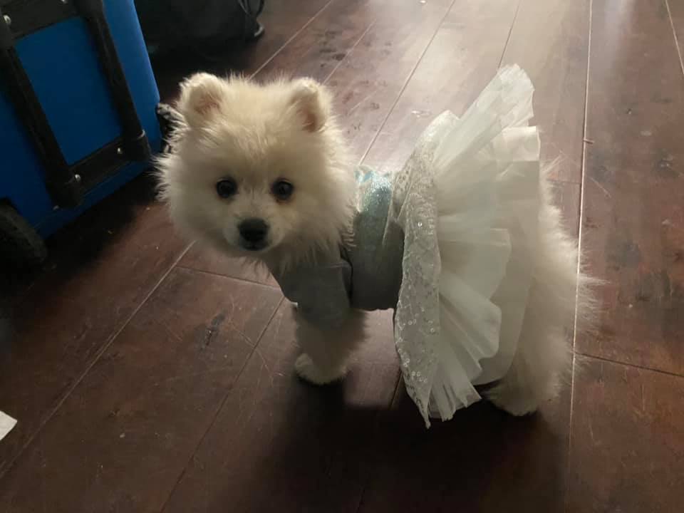 aaa molly ddress - Copy